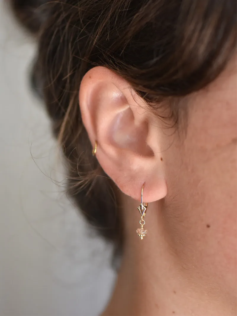 Simone Earrings - 14k Gold